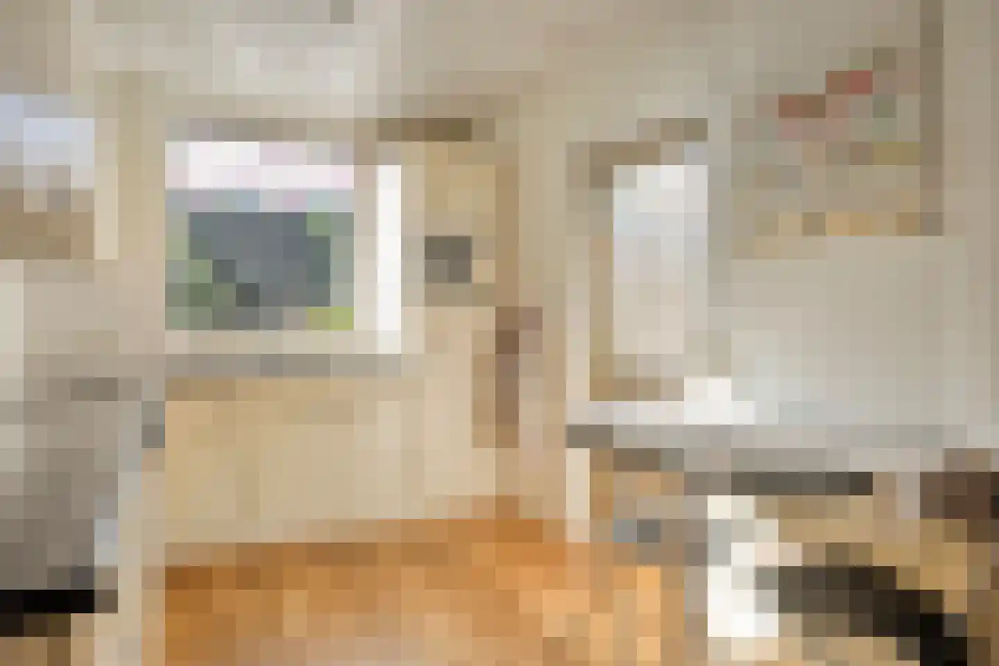 Gabriël Metsustraat 14 Boxmeer thumbnail 22