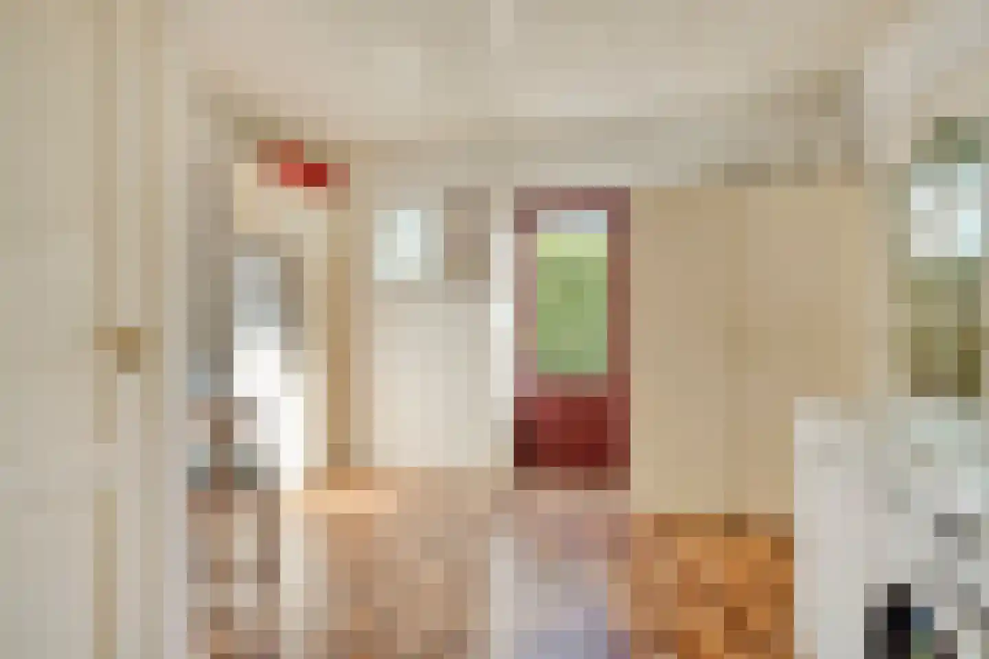 Gabriël Metsustraat 14 Boxmeer thumbnail 24