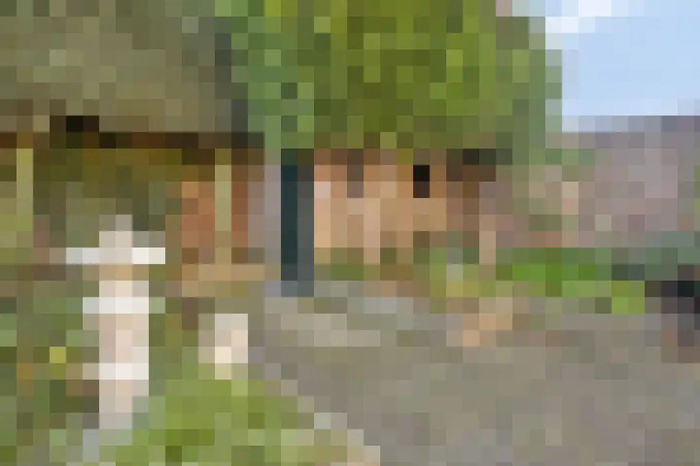 Gabriël Metsustraat 14 Boxmeer thumbnail 35