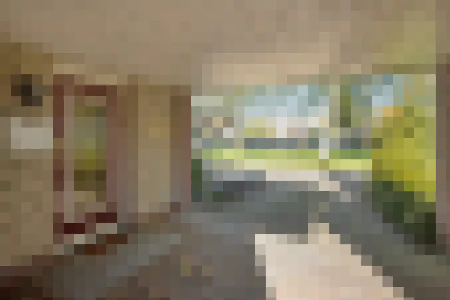 Gabriël Metsustraat 14 Boxmeer thumbnail 38
