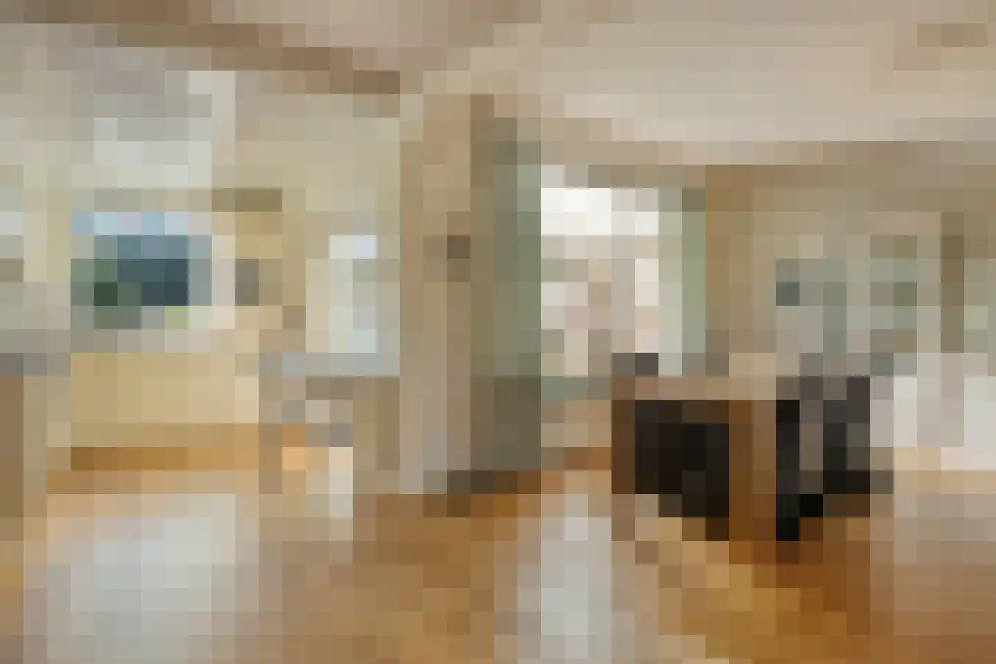 Gabriël Metsustraat 14 Boxmeer thumbnail 4