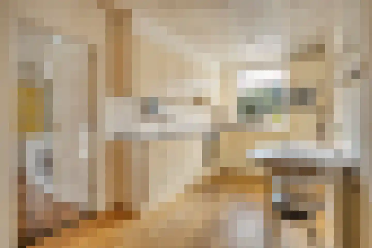 Gabriël Metsustraat 14 Boxmeer thumbnail 5