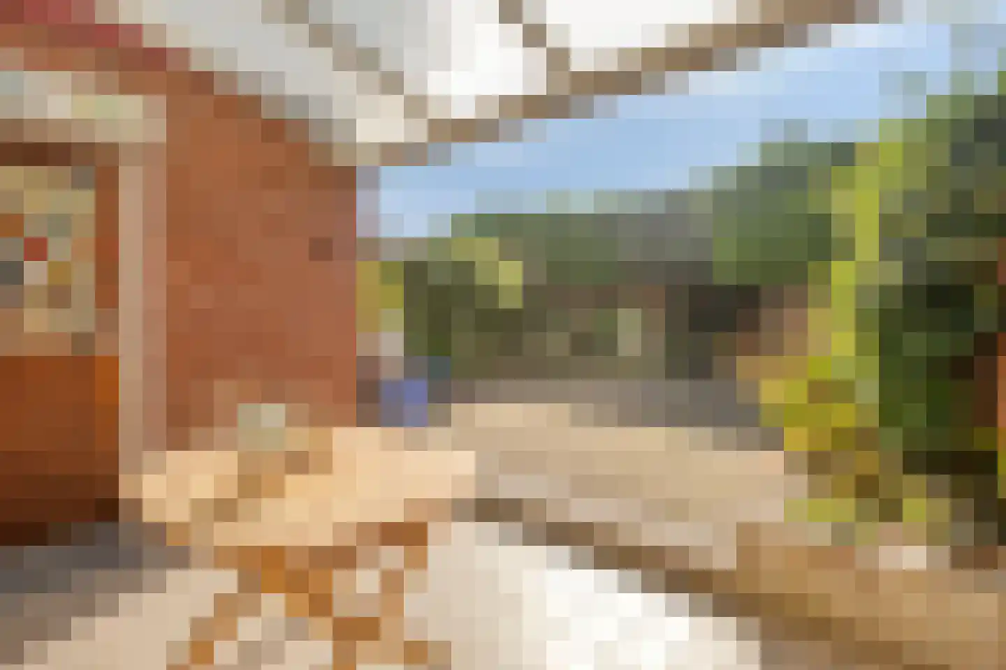 Gabriël Metsustraat 14 Boxmeer thumbnail 7