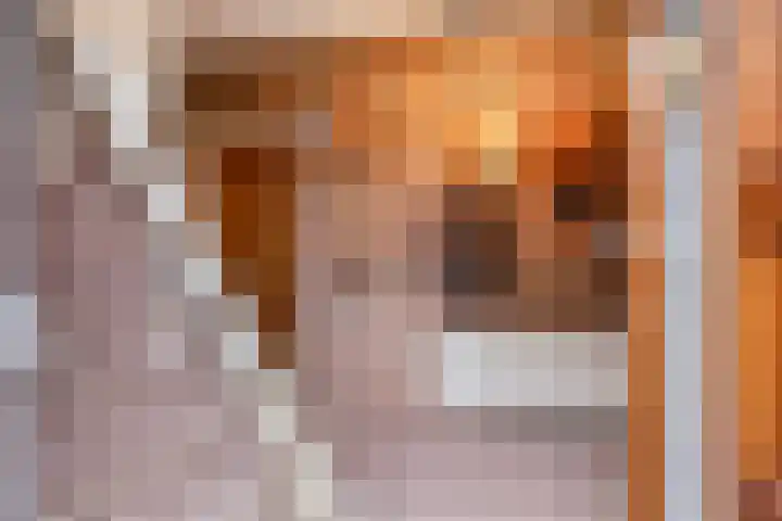 Gabriël Metsustraat 6 Boxmeer thumbnail 12