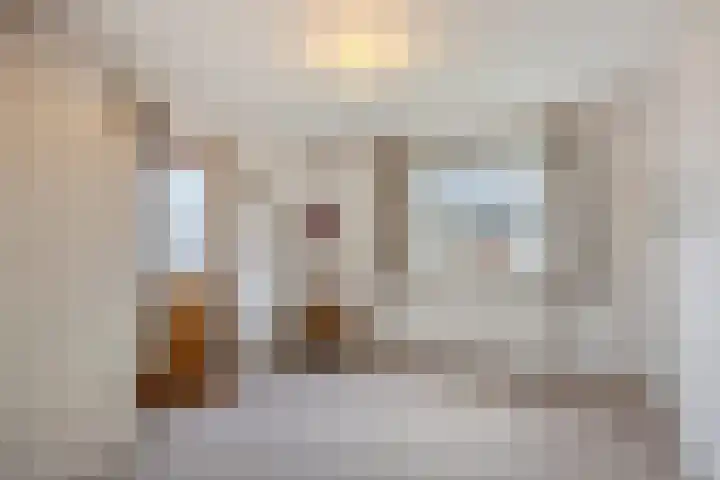 Gabriël Metsustraat 6 Boxmeer thumbnail 22