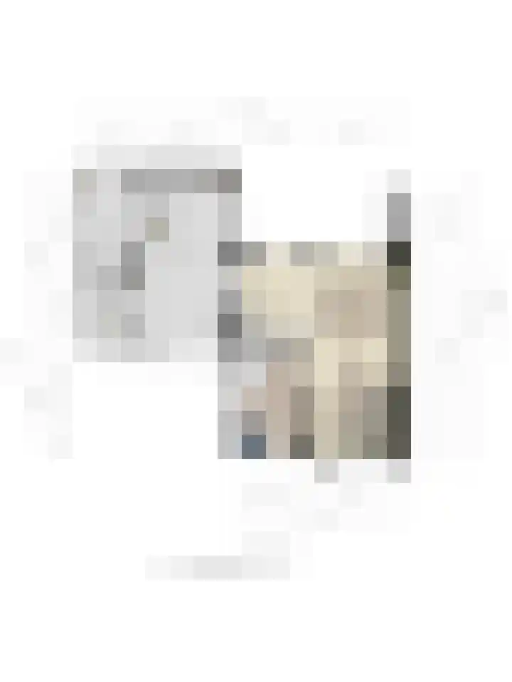 Gabriël Metsustraat 6 Boxmeer thumbnail 38