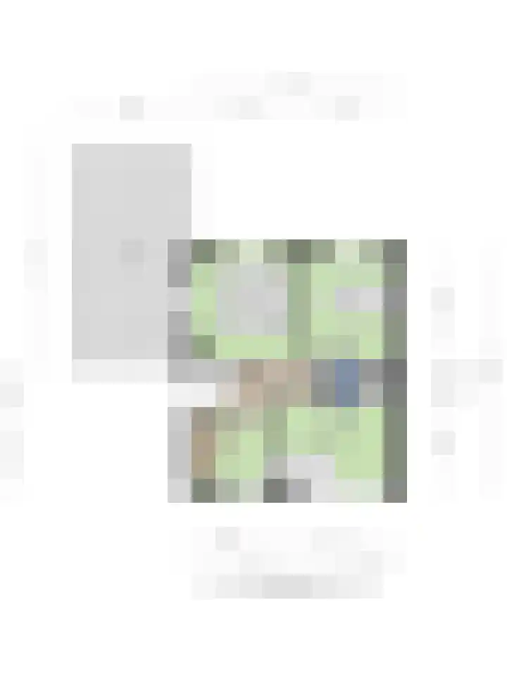 Gabriël Metsustraat 6 Boxmeer thumbnail 39