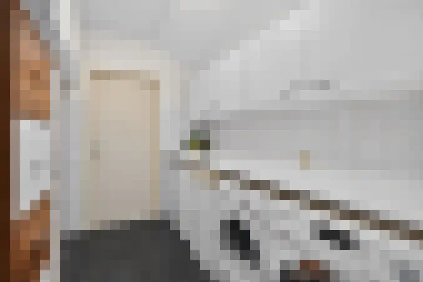 Gabriëlsstraat 14 Helmond thumbnail 31