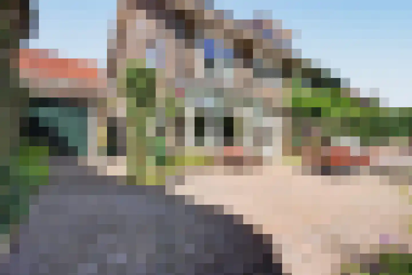 Gabriëlstraat 15 Arnhem thumbnail 38
