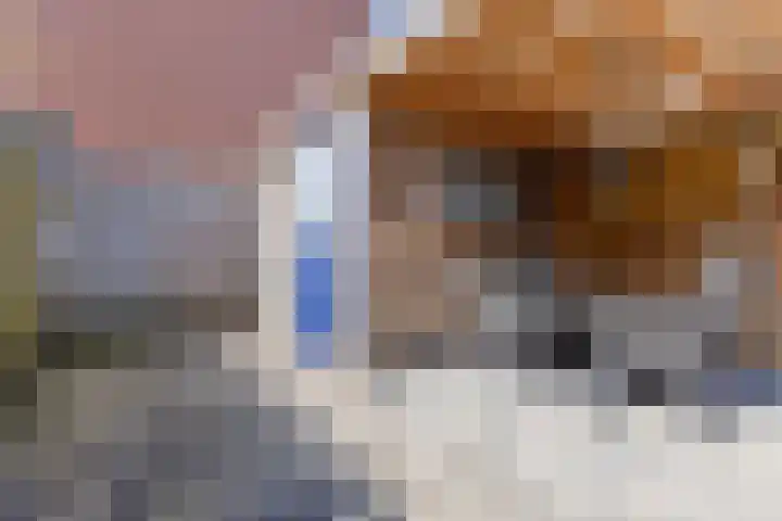 Gabriëlstraat 15 Groningen thumbnail 34