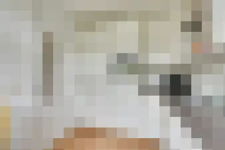 Gabriëlstraat 15 Ursem thumbnail 15