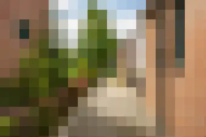 Gabriëlstraat 236 Groningen thumbnail 35