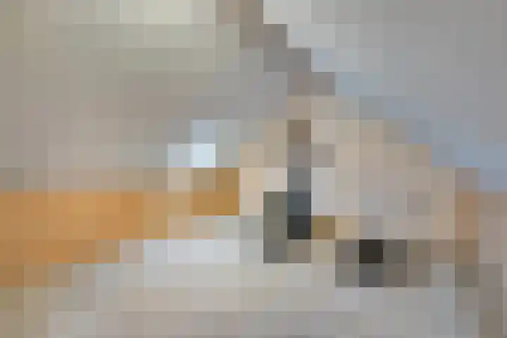 Gabriëlstraat 36 Duiven thumbnail 35