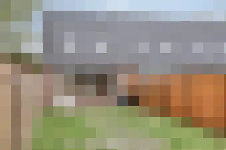 Gabriëlstraat 36 Duiven thumbnail 39