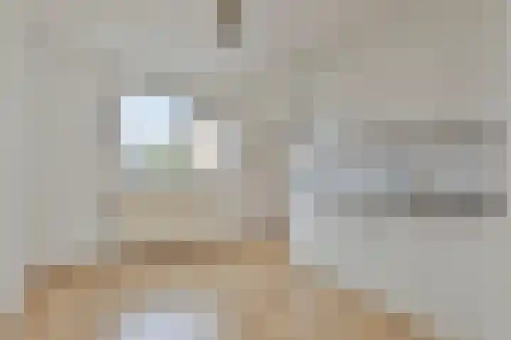 Gabriëlstraat 38 Duiven thumbnail 14