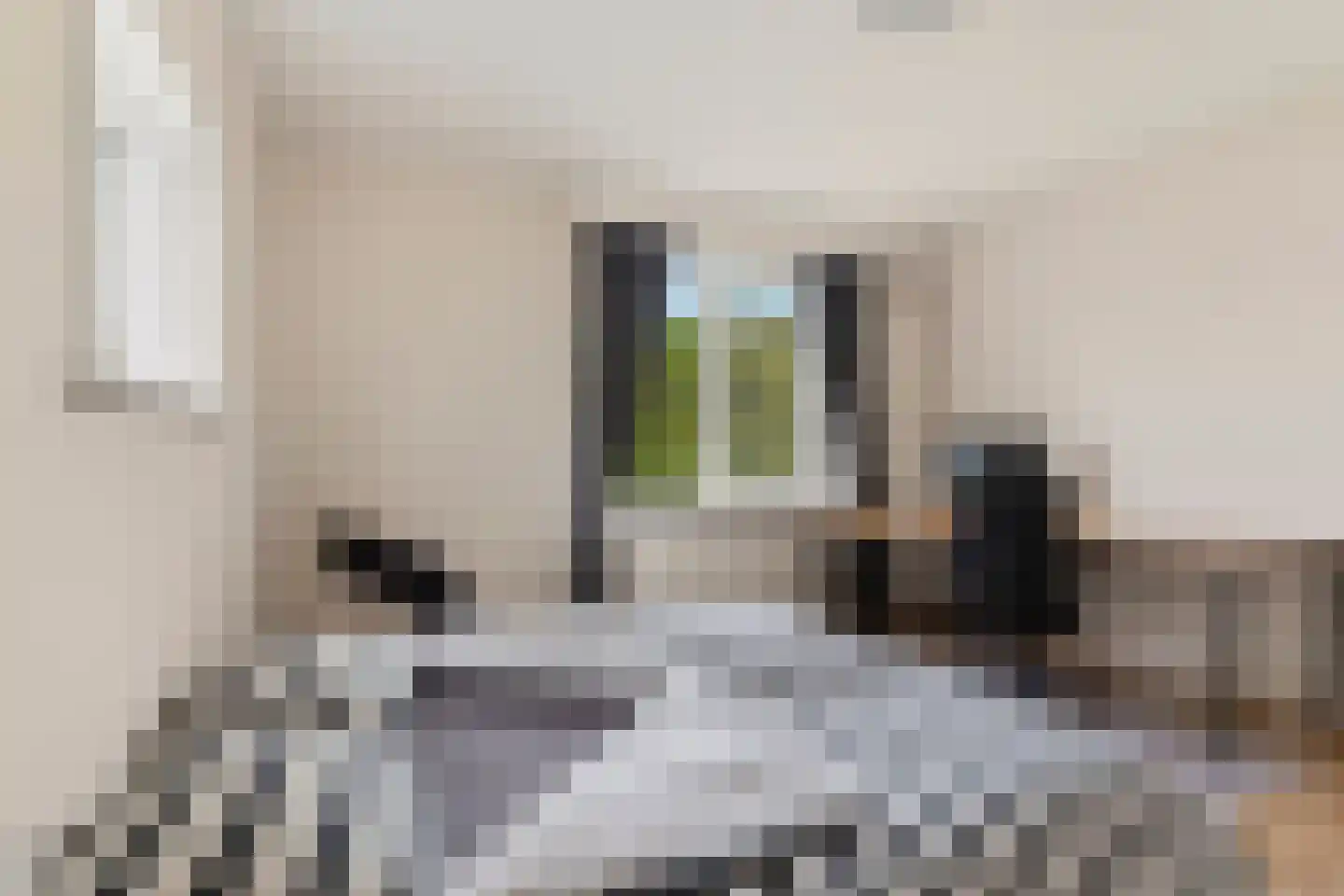 Gabriëlstraat 61 4 Arnhem thumbnail 18
