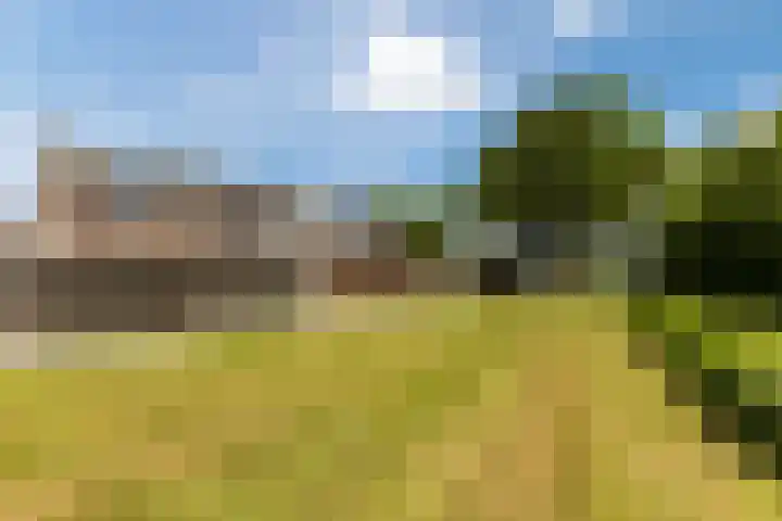 Gabriëlstraat 70 Ursem thumbnail 38
