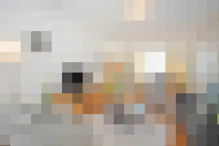 Gadéstraat 3 Geleen thumbnail 25