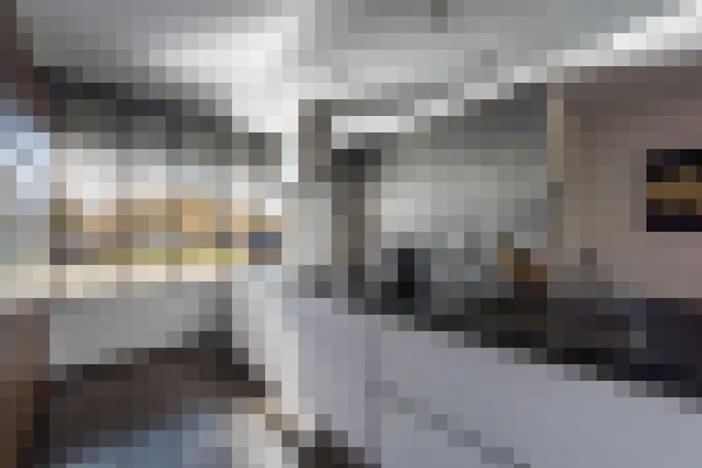 Gadiotstraat 31 Eygelshoven thumbnail 10