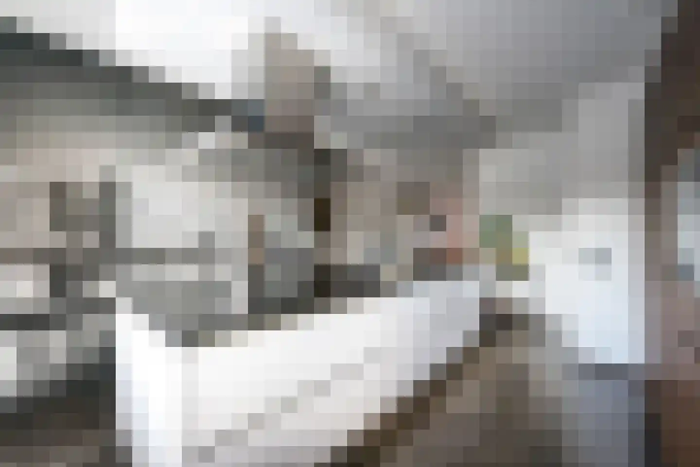 Gadiotstraat 31 Eygelshoven thumbnail 11