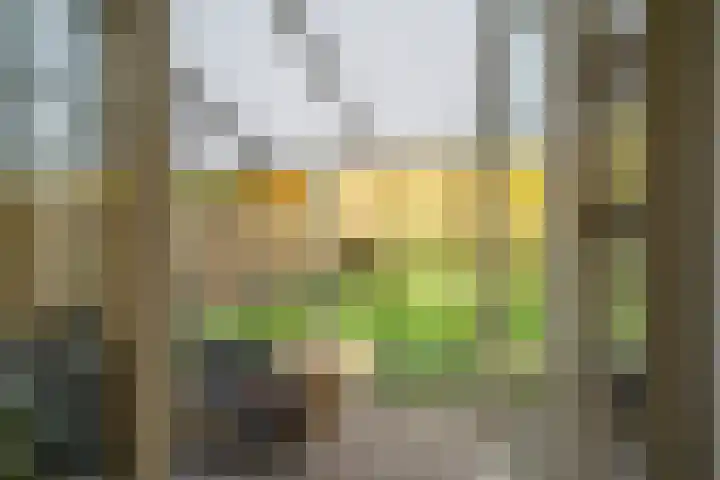 Gadiotstraat 9 Eygelshoven thumbnail 16