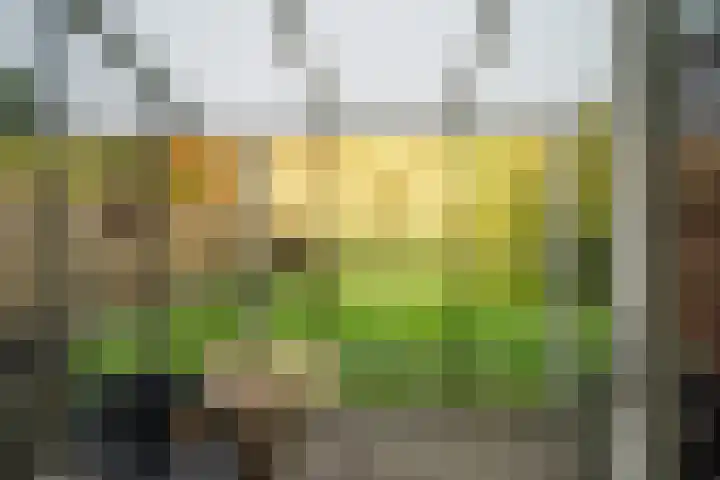 Gadiotstraat 9 Eygelshoven thumbnail 17