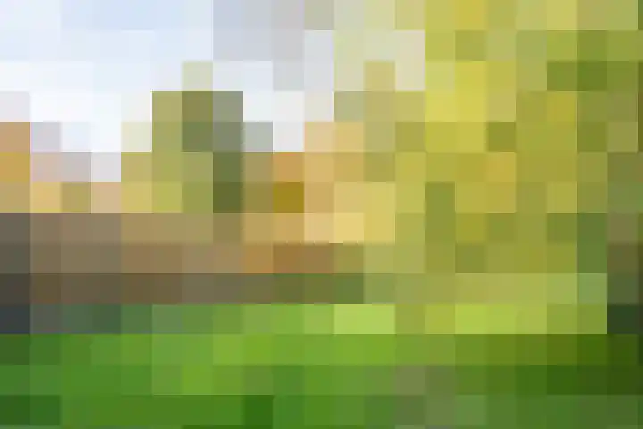 Gadiotstraat 9 Eygelshoven thumbnail 18