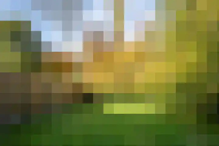Gadiotstraat 9 Eygelshoven thumbnail 19