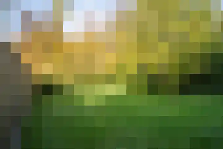 Gadiotstraat 9 Eygelshoven thumbnail 20