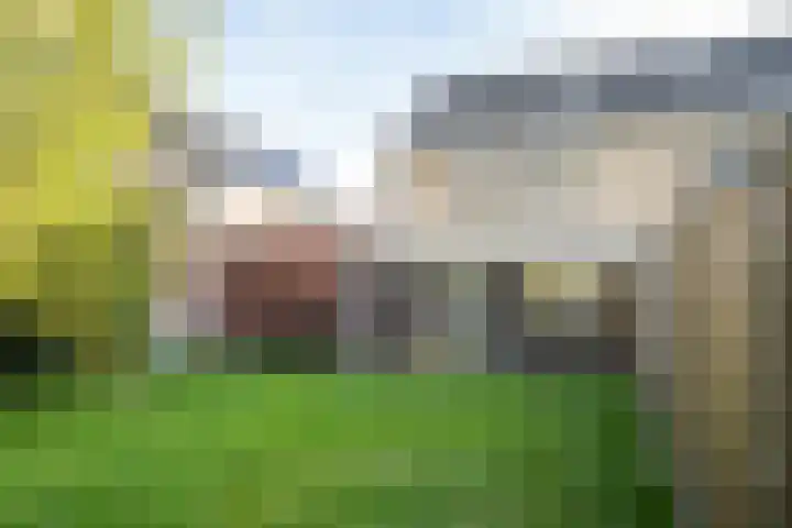 Gadiotstraat 9 Eygelshoven thumbnail 22