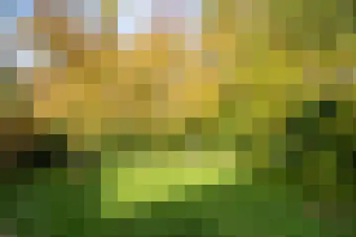 Gadiotstraat 9 Eygelshoven thumbnail 25