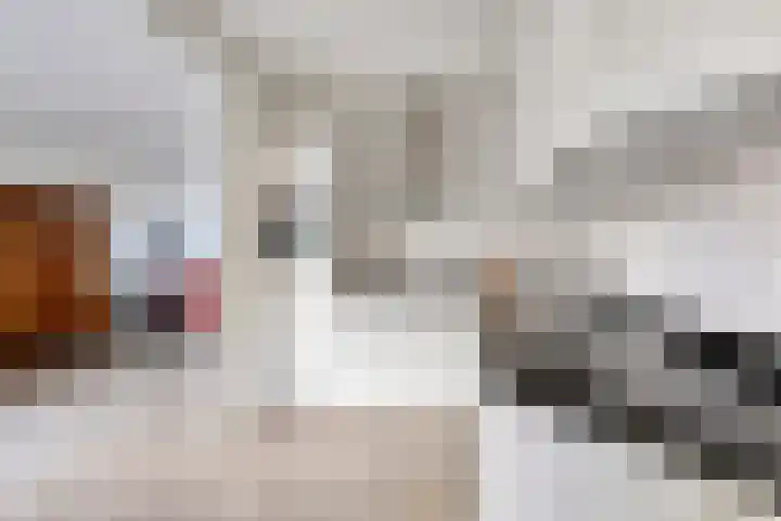 Gaelekamp 47 Hurdegaryp thumbnail 14