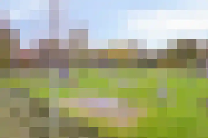 Gaelekamp 47 Hurdegaryp thumbnail 24