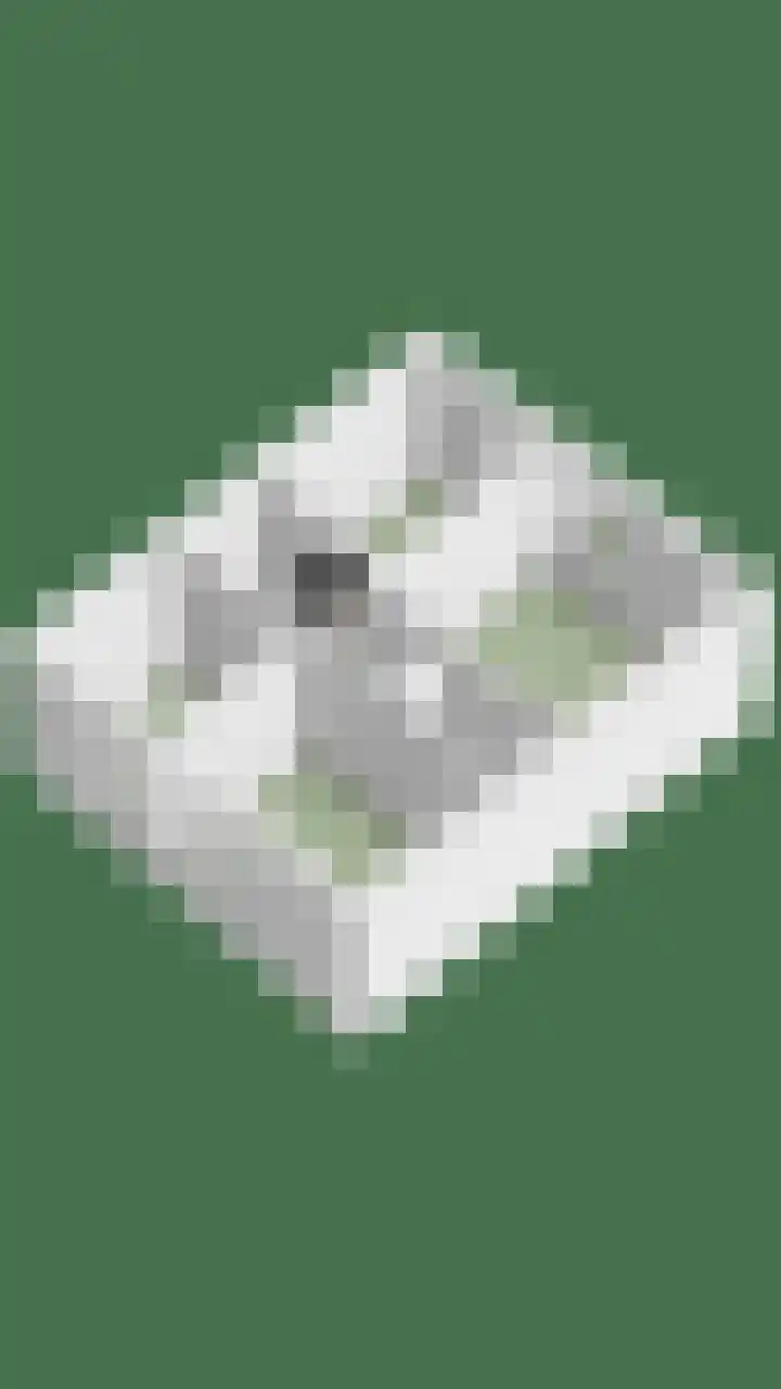 Gaelekamp 47 Hurdegaryp thumbnail 30