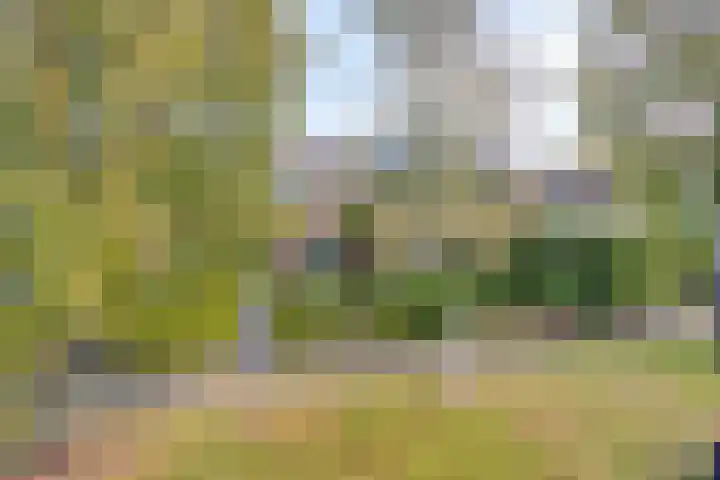 Gaelekamp 47 Hurdegaryp thumbnail 4