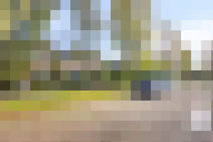 Gaelekamp 47 Hurdegaryp thumbnail 5