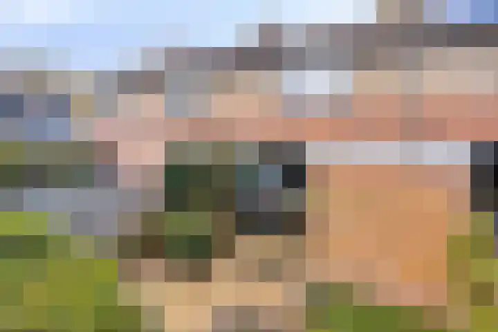 Gaelekamp 47 Hurdegaryp thumbnail 6