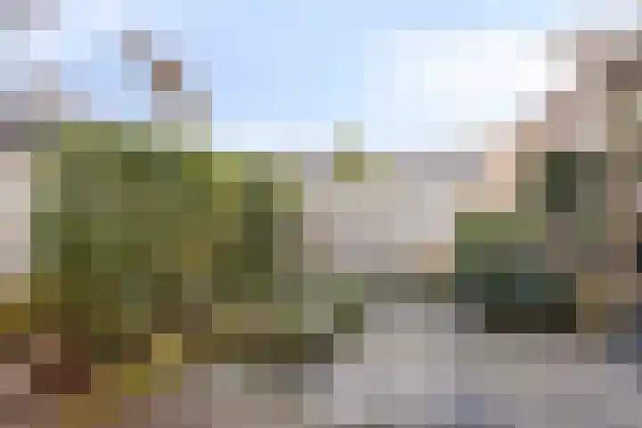 Gaelekamp 47 Hurdegaryp thumbnail 8