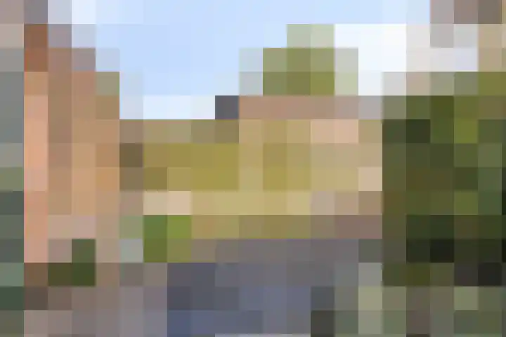 Gaelekamp 47 Hurdegaryp thumbnail 9