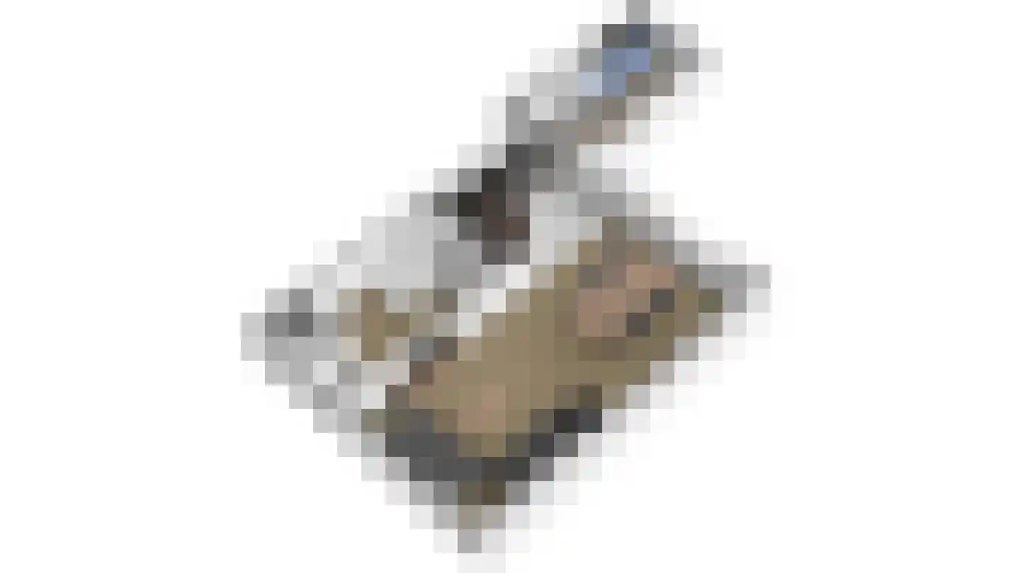 Gaelekamp 59 Hurdegaryp thumbnail 11