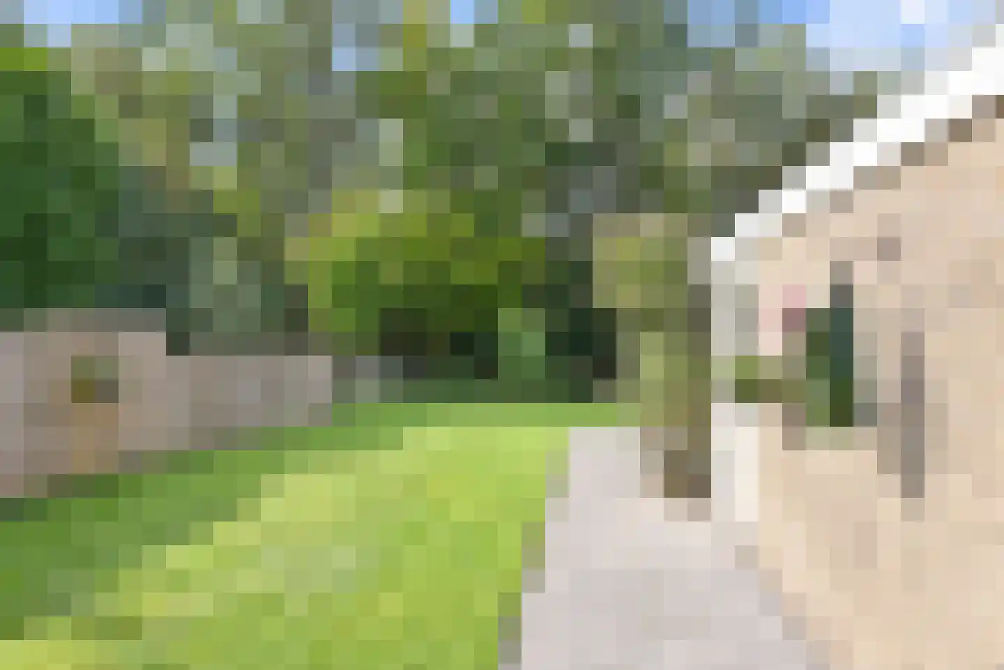 Gaelekamp 99 Hurdegaryp thumbnail 12