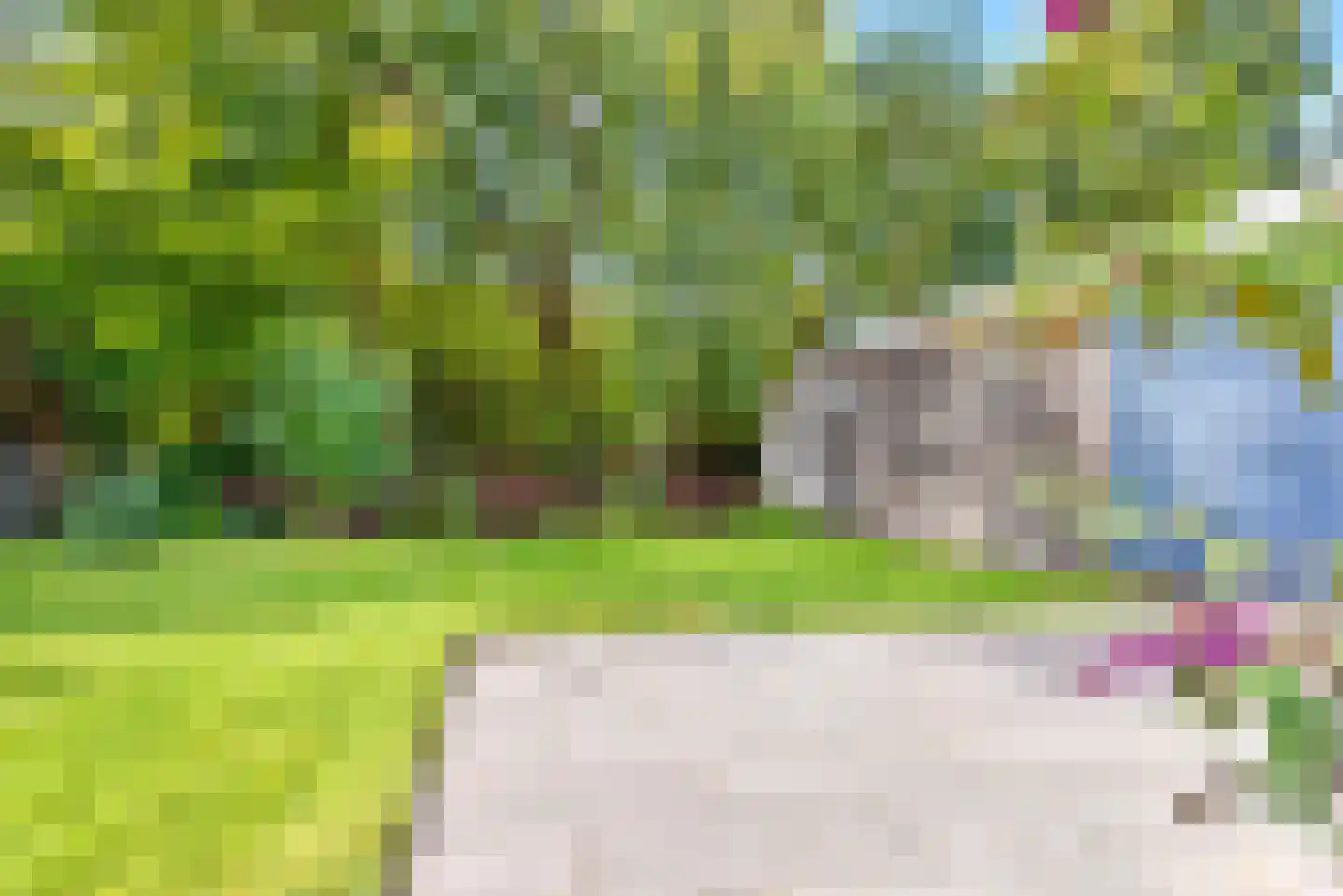 Gaelekamp 99 Hurdegaryp thumbnail 15