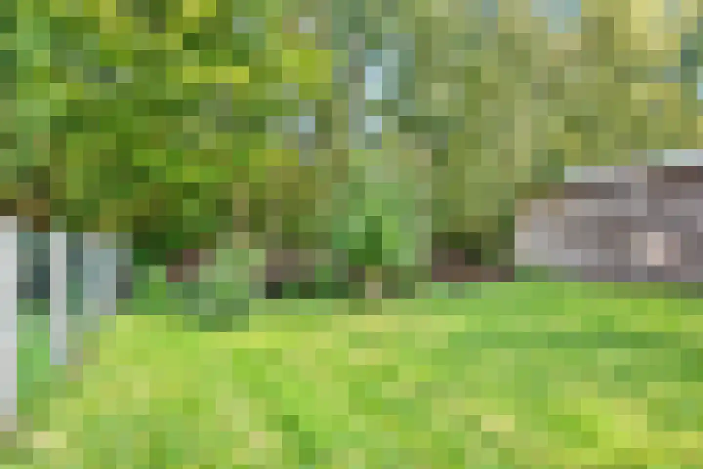 Gaelekamp 99 Hurdegaryp thumbnail 16