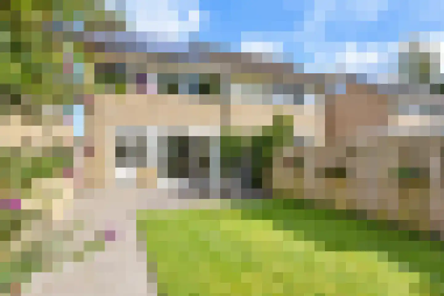 Gaelekamp 99 Hurdegaryp thumbnail 18