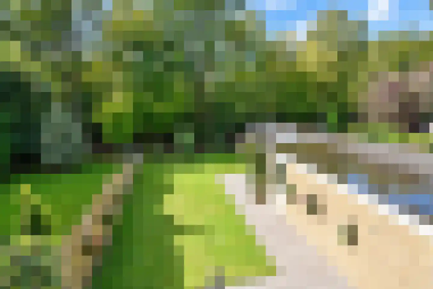 Gaelekamp 99 Hurdegaryp thumbnail 21