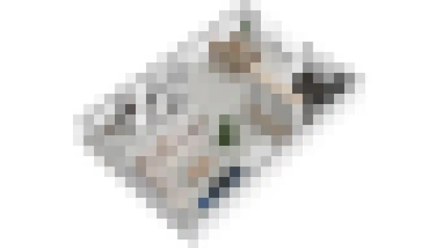 Gaelekamp 99 Hurdegaryp thumbnail 22