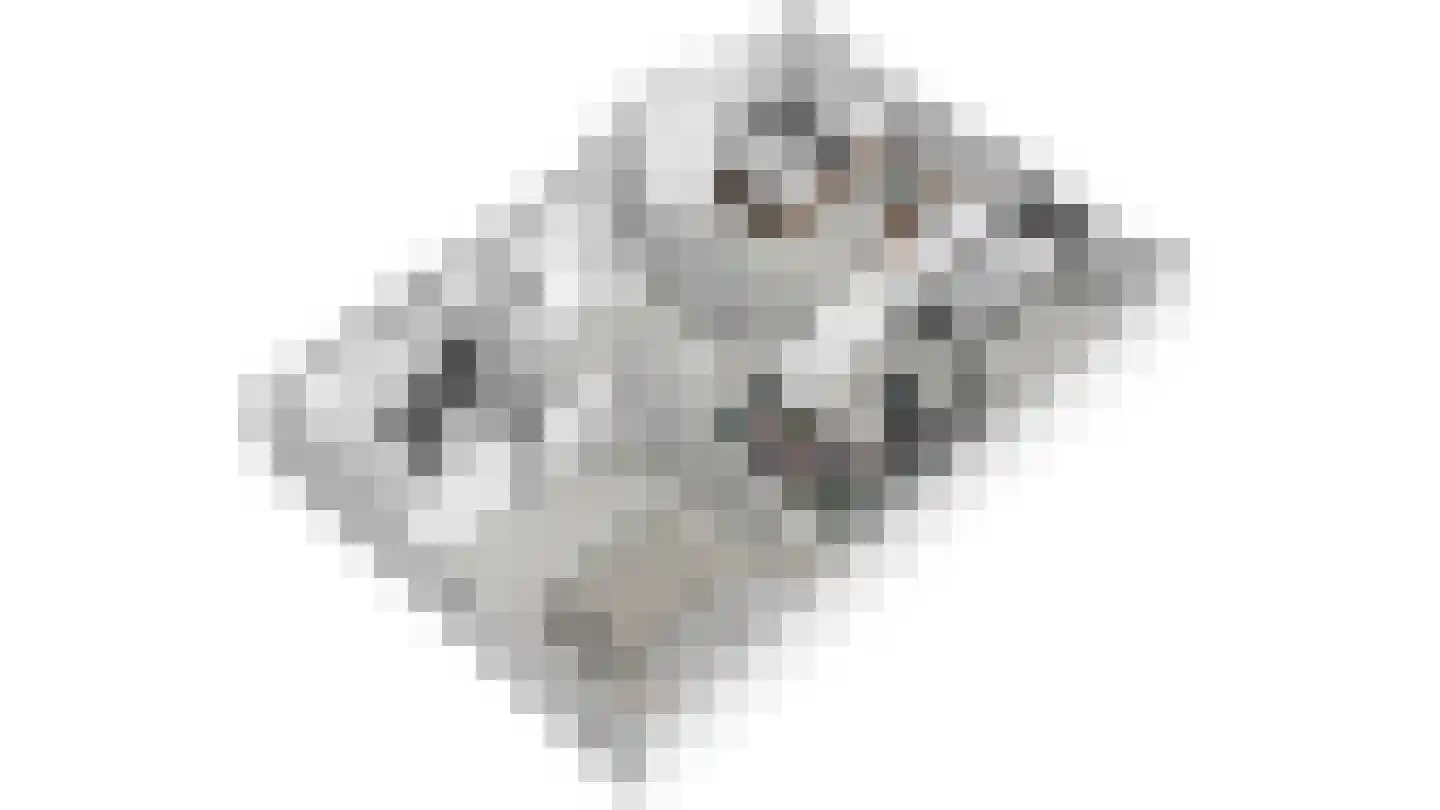 Gaelekamp 99 Hurdegaryp thumbnail 39