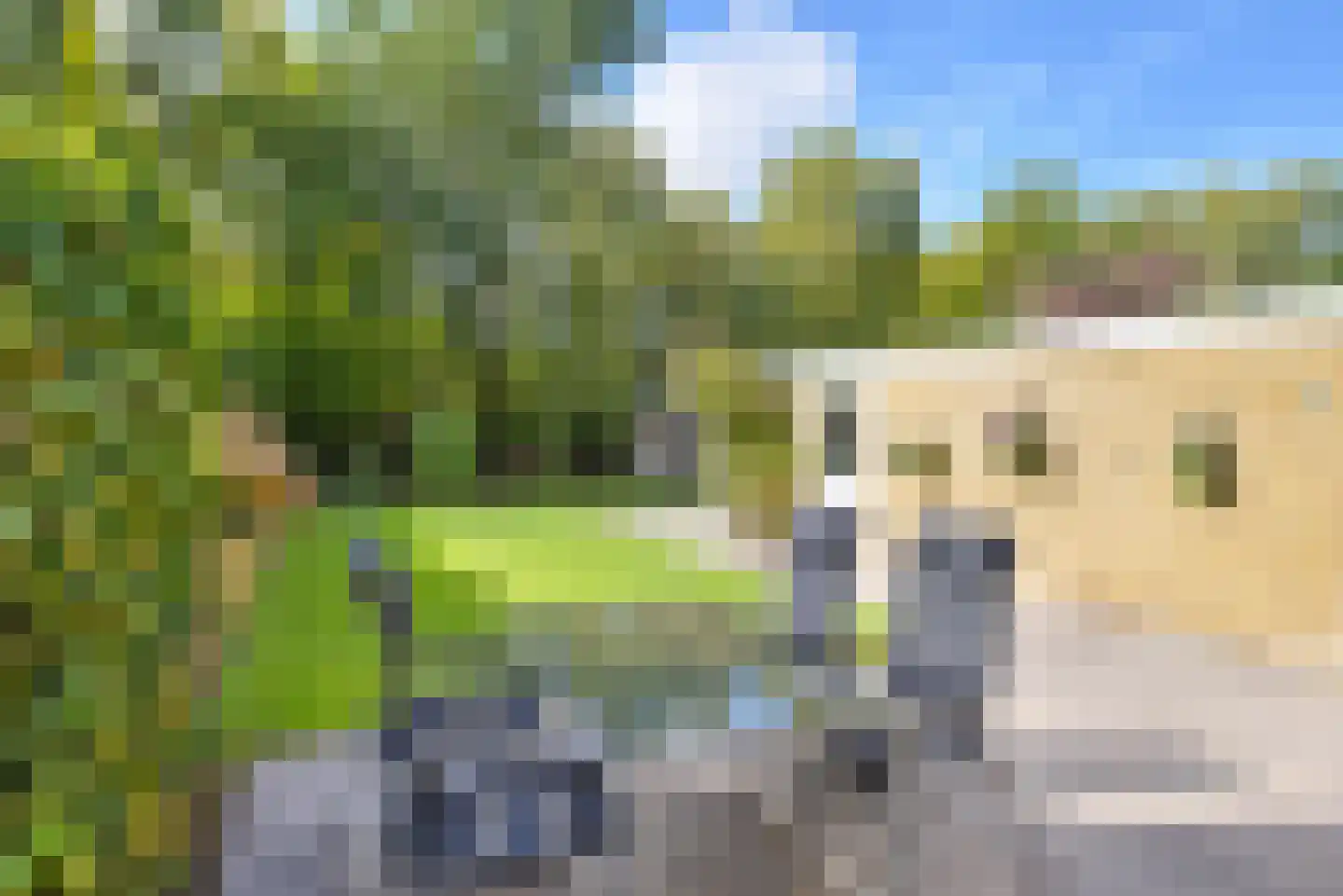 Gaelekamp 99 Hurdegaryp thumbnail 4