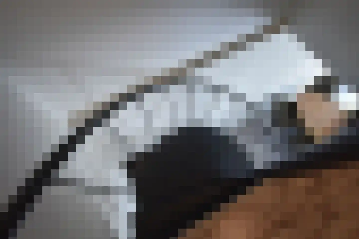 Gaelekamp 99 Hurdegaryp thumbnail 40
