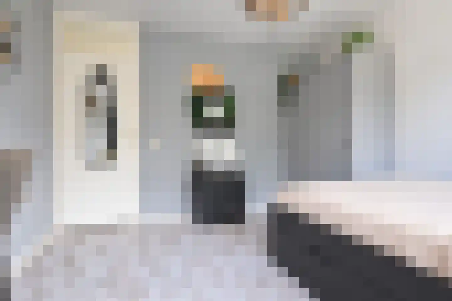 Gaelekamp 99 Hurdegaryp thumbnail 46